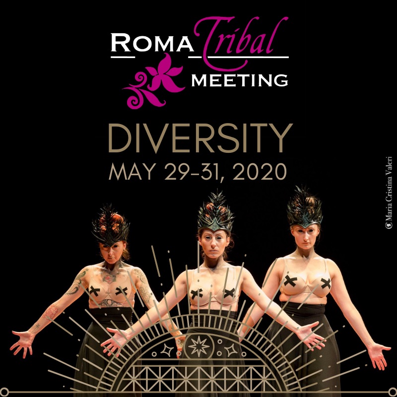 Roma Tribal Meeting